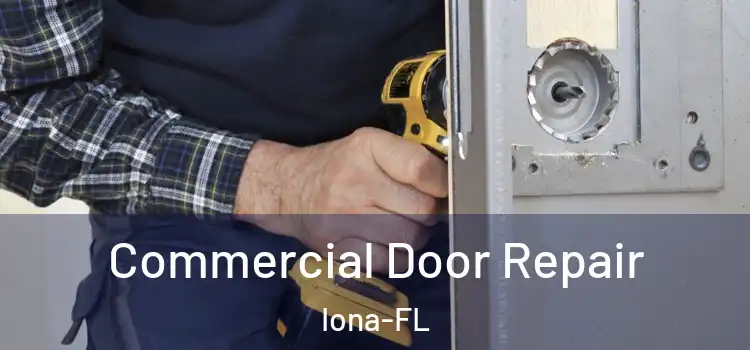  Commercial Door Repair Iona-FL