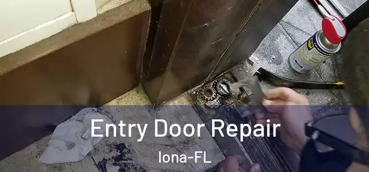  Entry Door Repair Iona-FL