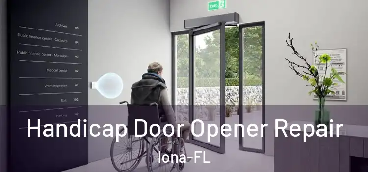  Handicap Door Opener Repair Iona-FL
