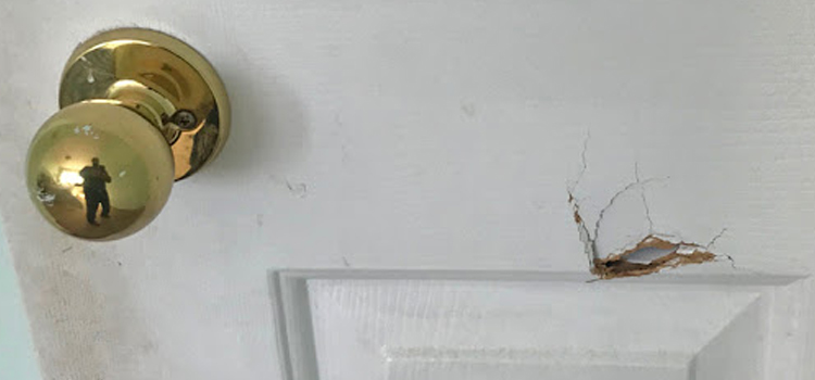 interior door hole repair Iona