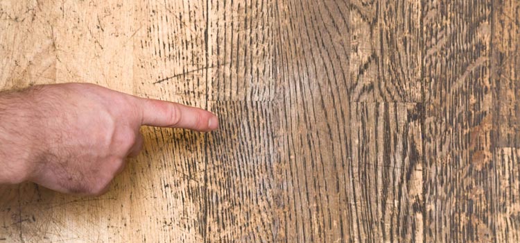 Wood Door Scratch Repair in Iona