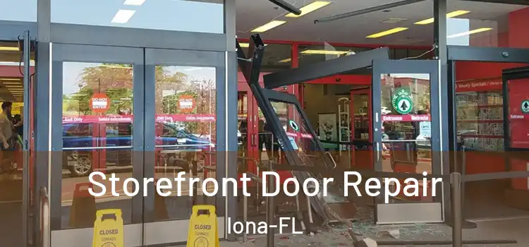  Storefront Door Repair Iona-FL